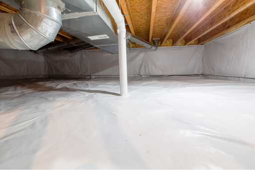 How to Prevent Mold in Your Crawl Space